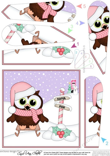 Christmas Little Hoot Owl is Sledging Fan Pyramage Topper