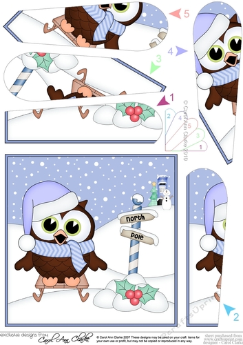 Christmas Little Hoot Owl is Sledging Fan Pyramage Topper