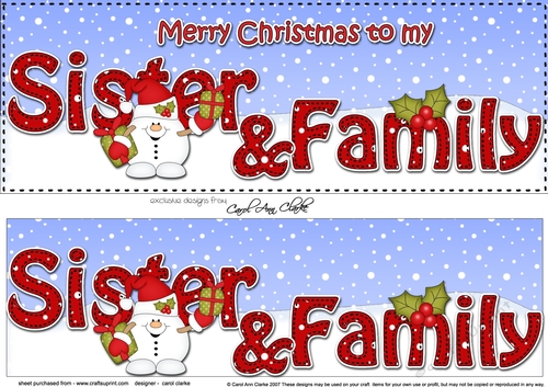 Large DL Merry Christmas to my SISTER & FAMILY insert with Snowball Sam
