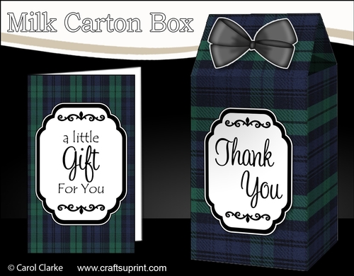 3D Tartan Milk Carton Treat Box Mini Kit