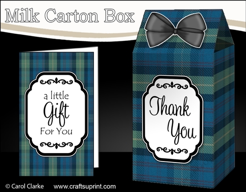3D Tartan Milk Carton Treat Box Mini Kit