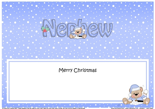 Large DL Merry Christmas NEPHEW insert