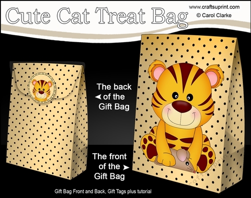 3D Gift Bag Mini Kit - Cute Little Tiger Tinker