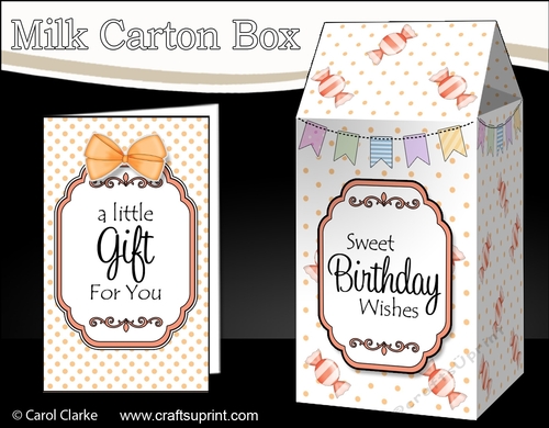3D Sweet Treats Milk Carton Treat Box Mini Kit