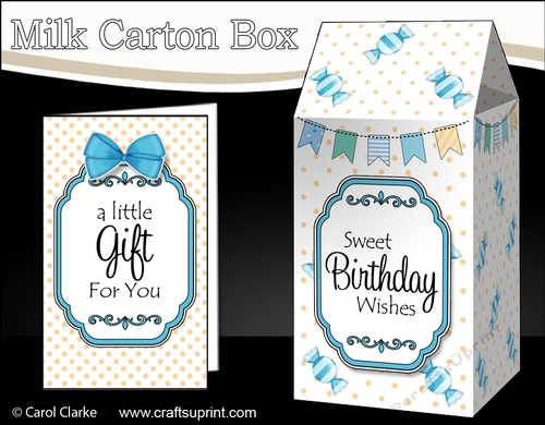 3D Sweet Treats Milk Carton Treat Box Mini Kit