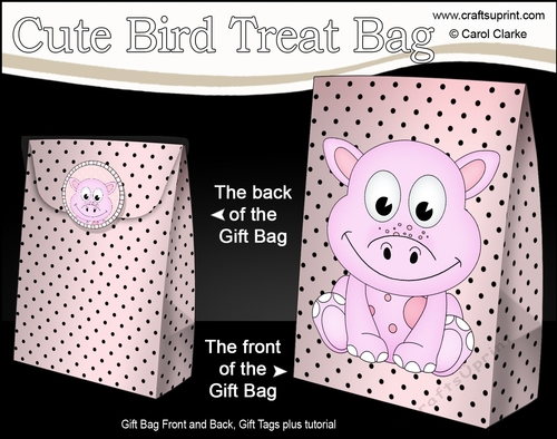 3D Gift Bag Mini Kit - Cute Little Dilly Dino