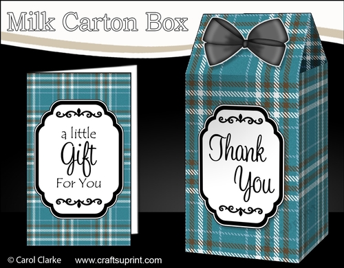 3D Tartan Milk Carton Treat Box Mini Kit