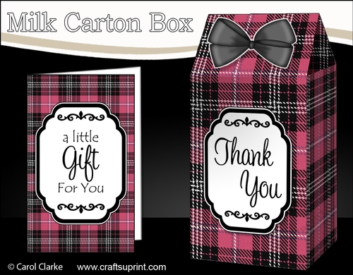 3D Tartan Milk Carton Treat Box Mini Kit