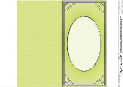 Dl 'silver Metallic Frame' Card Front or Insert