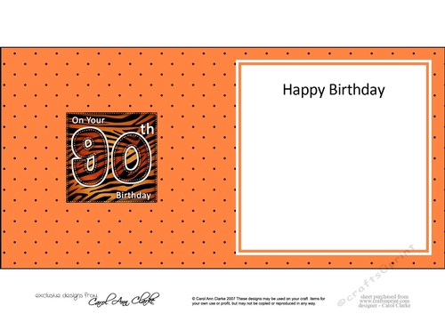 Fun Zebra Striped 90th Birthday square landscape insert