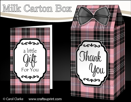 3D Tartan Milk Carton Treat Box Mini Kit