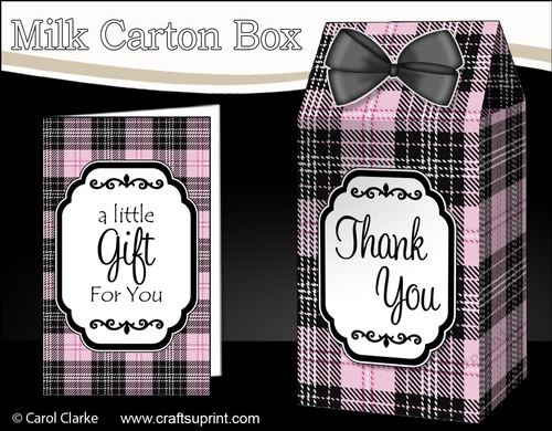 3D Tartan Milk Carton Treat Box Mini Kit