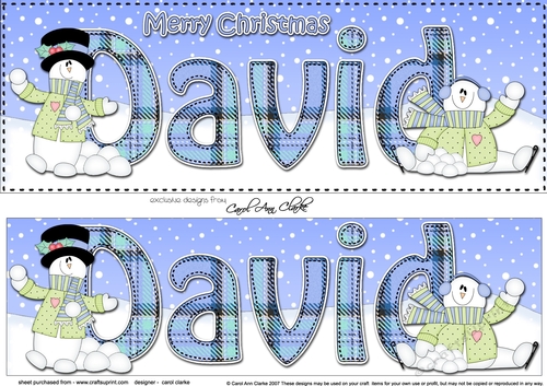 Large DL Merry Christmas LUCY 3D decoupage 