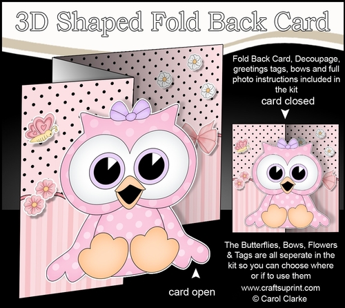3D Shaped No-Hole Fold Back Mini Kit - Cute Little Olla Owl