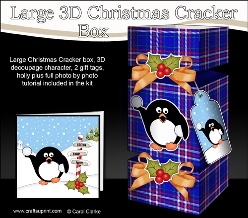 3D Large Christmas Cracker Box -  Tartan Pip Penguin