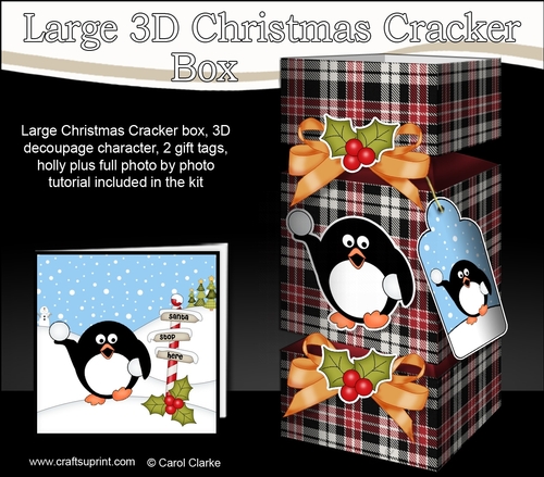 3D Large Christmas Cracker Box -  Tartan Pip Penguin