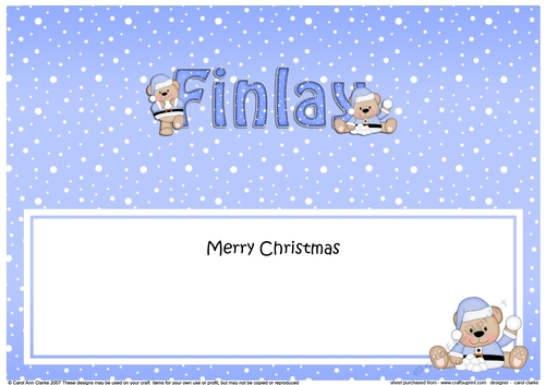Large DL Merry Christmas FINLAY insert