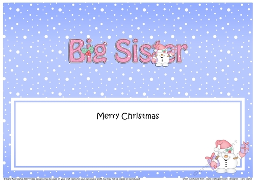 Large DL Merry Christmas BIG SISTER insert