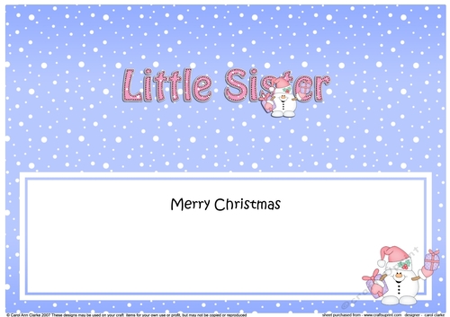 Large DL Merry Christmas LITTLE SISTER insert