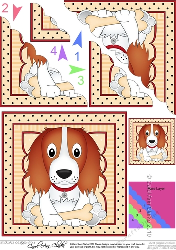 Cute Little Springer Spaniel Dog Scalloped Corner Stacker