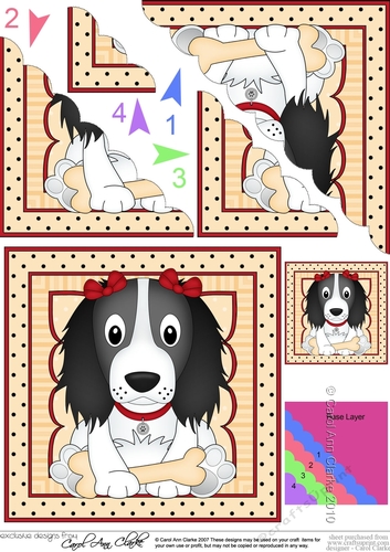 Cute Little Springer Spaniel Dog Scalloped Corner Stacker