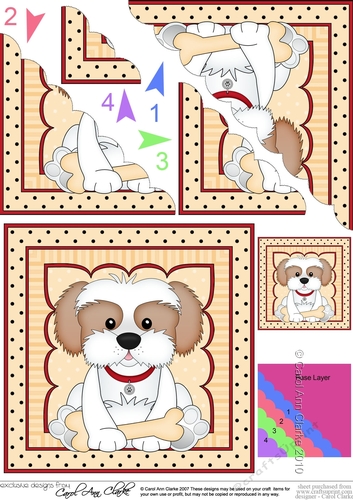 Cute Little Cavachon Dog Scalloped Corner Stacker