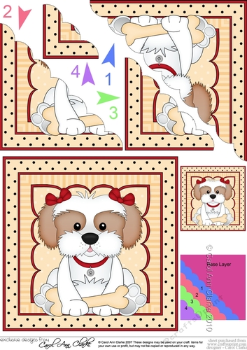 Cute Little Cavachon Dog Scalloped Corner Stacker