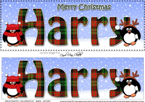 Large DL Merry Christmas HARRY 3D decoupage 