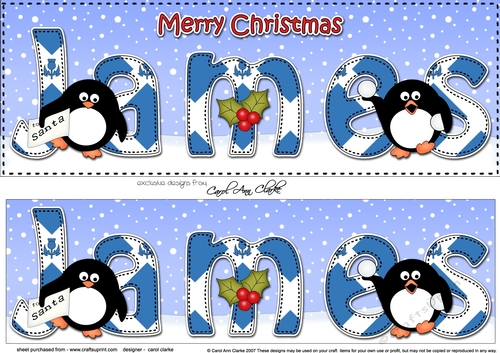 Large DL Merry Christmas JAMES 3D decoupage 