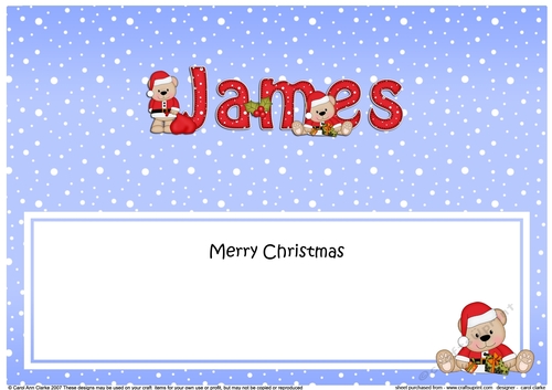 Large DL Merry Christmas JAMES insert