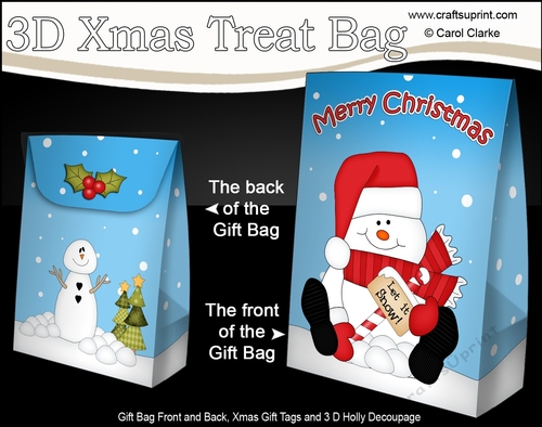 3D Christmas Gift Bag Mini Kit - Snowman Rio wants it to Snow!