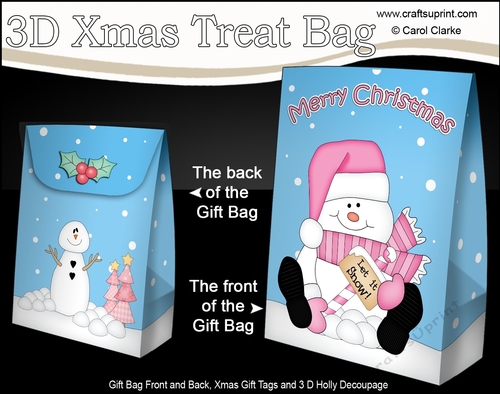 3D Christmas Gift Bag Mini Kit - Snowman Rio wants it to Snow!