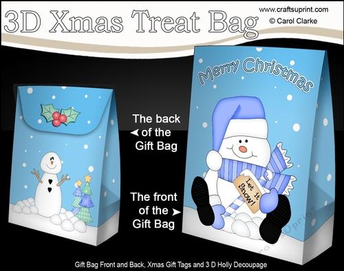 3D Christmas Gift Bag Mini Kit - Snowman Rio wants it to Snow!