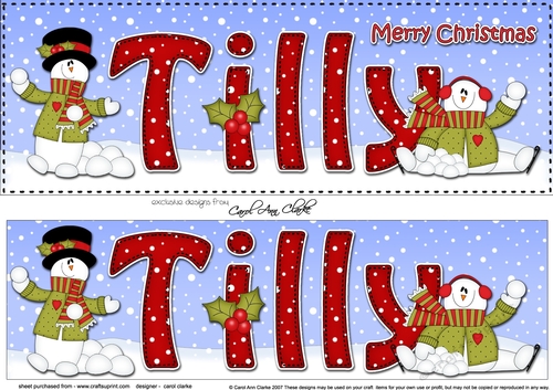 Large DL Merry Christmas TILLY 3D decoupage 