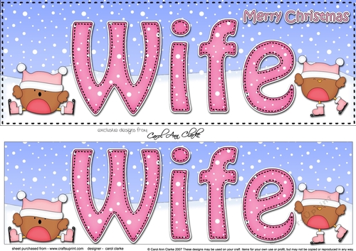 Large DL Merry Christmas WIFE 3D decoupage with Bobbin Robin 