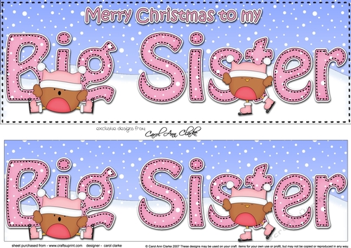 Large DL Merry Christmas to my BIG SISTER 3D decoupage with Bobbin Robin 