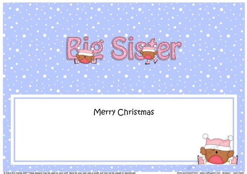 Large DL Merry Christmas BIG SISTER insert with Bobbin Robin