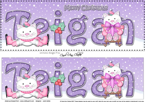 Large DL Merry Christmas TEIGAN 3D decoupage 