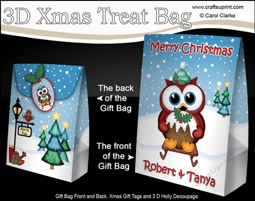 3D Merry Christmas ROBERT & TANYA Large Gift Bag Mini Kit