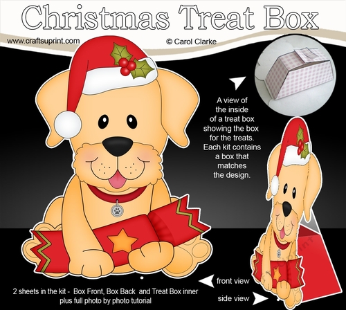 3D Christmas Treat Box Gift Set Mini Kit - Little Golden Labrador Dog