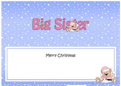 Large DL Merry Christmas BIG SISTER insert with Livvy Bear