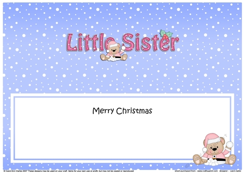 Large DL Merry Christmas LITTLE SISTER insert with Livvy Bear