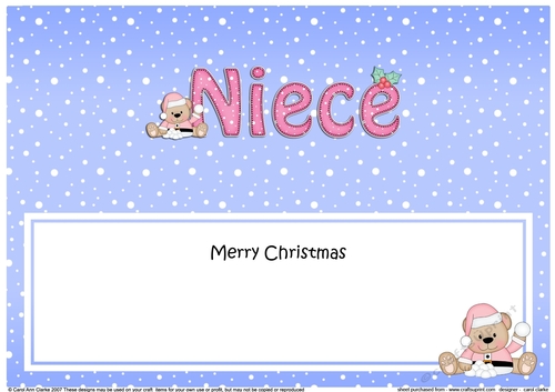 Large DL Merry Christmas NIECE insert with Livvy Bear