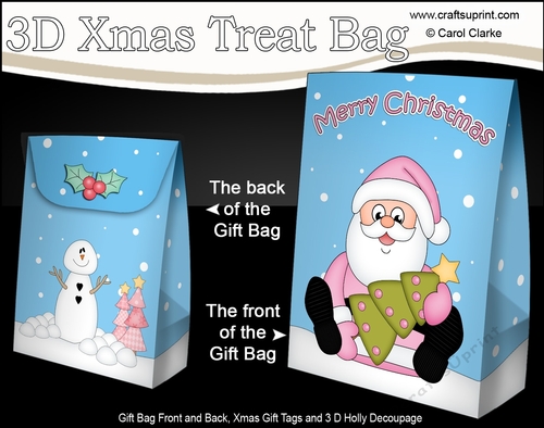 3D Christmas Gift Bag Mini Kit - Santa has an Xmas Tree