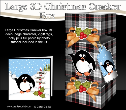 3D Large Christmas Cracker Box -  Tartan Pip Penguin