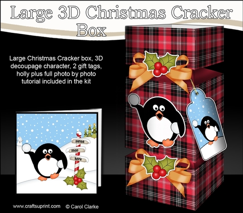 3D Large Christmas Cracker Box -  Tartan Pip Penguin
