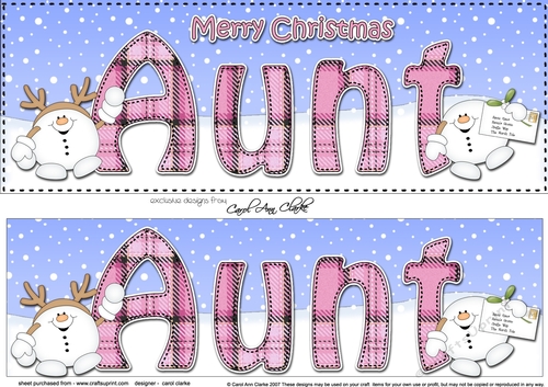 Large DL Merry Christmas AUNT 3D decoupage with Snowball Sam