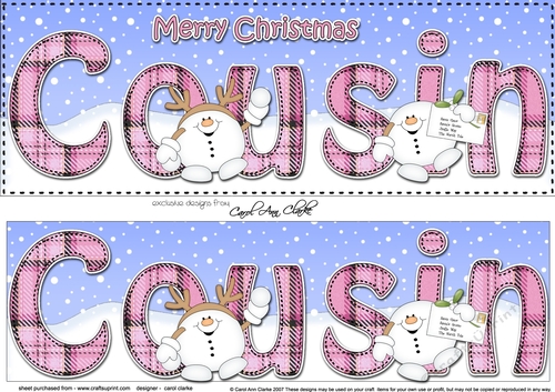 Large DL Merry Christmas COUSIN 3D decoupage with Snowball Sam