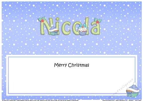 Large DL Merry Christmas NICOLA insert