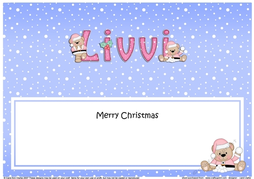 Large DL Merry Christmas LIVVI insert